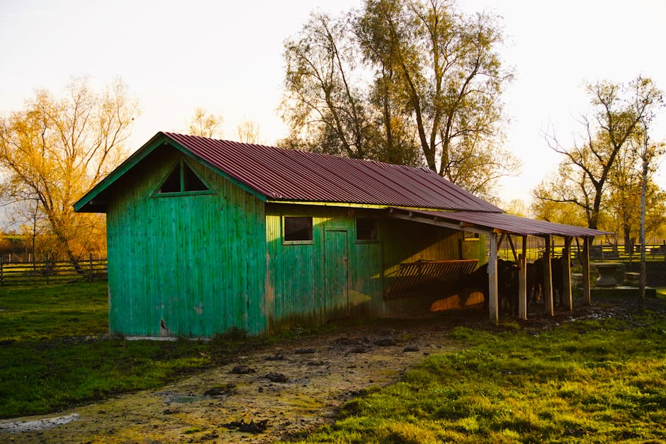 Help, mijn dak lekt: wie moet ik bellen in Gouda?